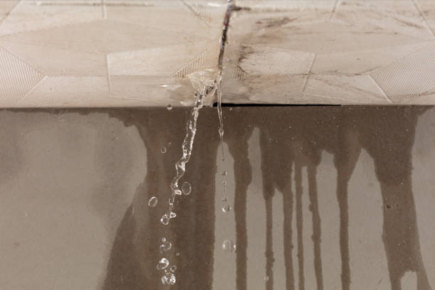 Professional Burst Pipe Cleanup technician working in Centreville, MD